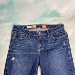 Anthropologie Plicro Jeans straight leg